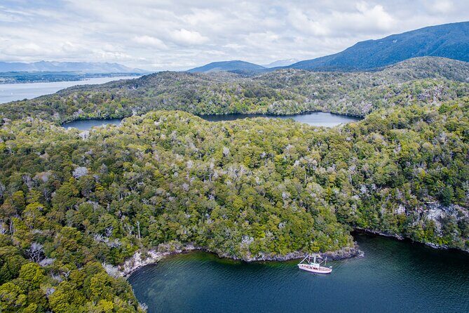 Scenic Cruise & Guided walk on Historic Motor Yacht Lake Te Anau - Final Thoughts: Who Will Love This Trip?