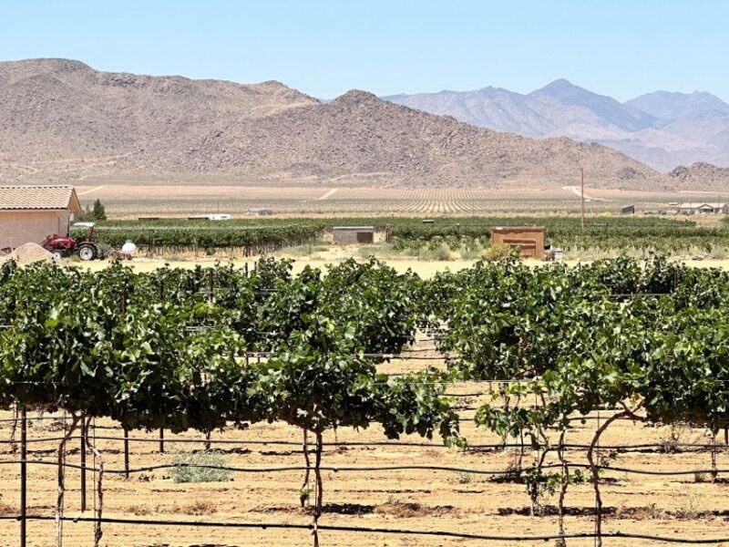 Scenic Desert Wine, Distillery Tastings/Brewery/RT66 & Lunch - Key Points