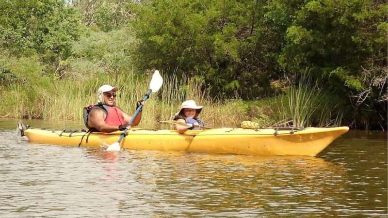 Scenic Double Bayou | TX Gulf Coast Wetlands Eco Tour - Key Points