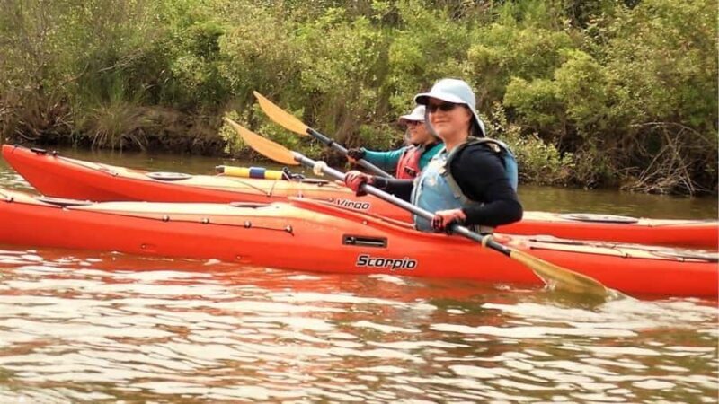 Scenic Double Bayou | TX Gulf Coast Wetlands Eco Tour - An Overview of the Experience