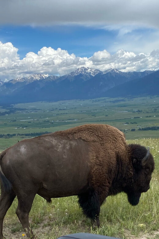 Scenic Driving Tour Flathead Lake and Bison Range - The Sum Up