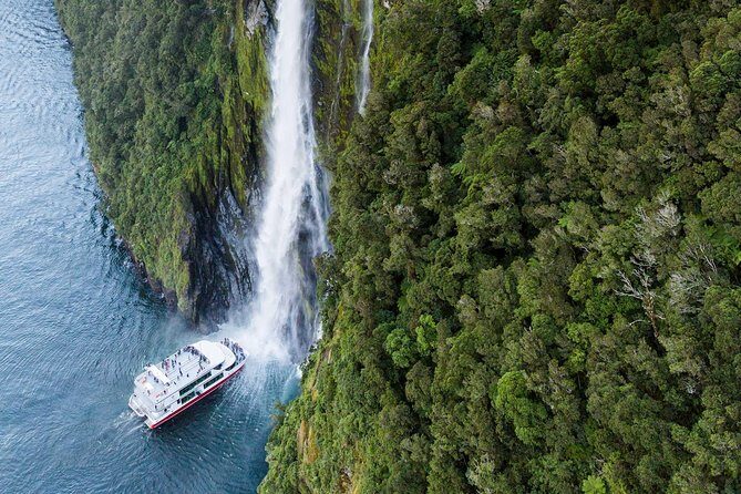 Scenic Flight Transfer to Queenstown from Milford Sound - Is It Worth the Price?