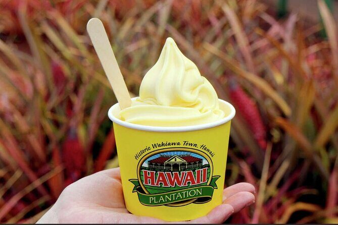 Scenic full day circle island tour-snorkeling/breakfast included - Who Is This Tour Best For?