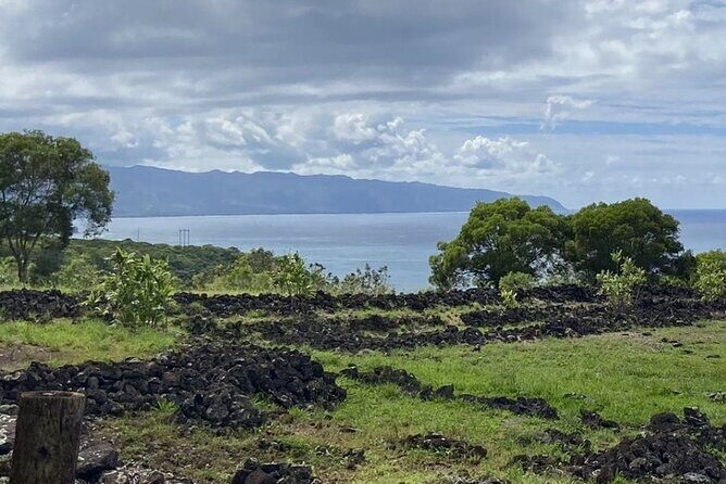 Scenic Half Day North Shore Tour Turtle Bay pickup only - A Genuine Look at Oahu’s North Shore