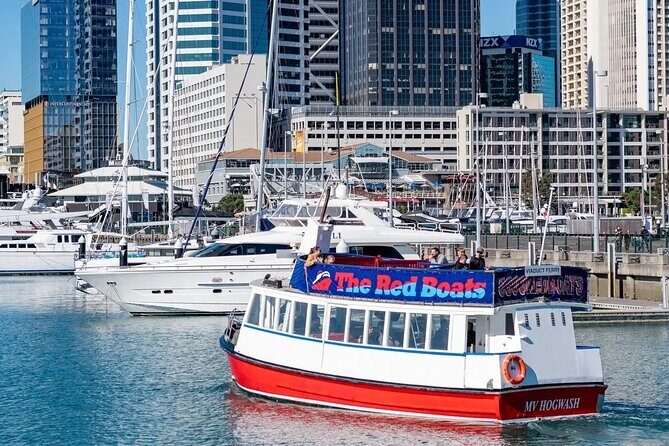 Scenic Harbour Cruise in Auckland - Key Points