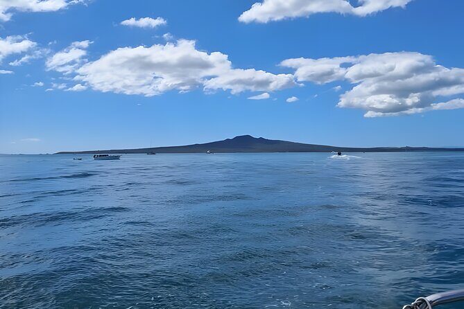 Scenic Harbour Cruise in Auckland - Who Will Appreciate This Tour?