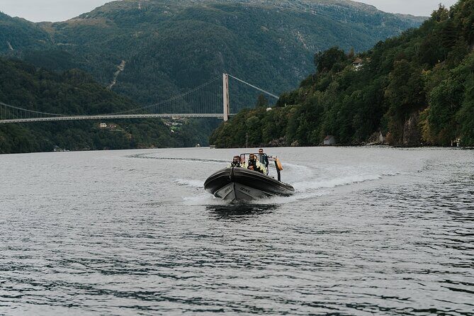 Scenic Hardangerfjord & Fyksesund RIB adventure from Norheimsund - An In-Depth Look at the Fjord Adventure Experience