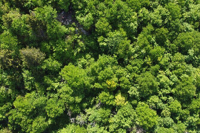 Scenic Hiking Adventure at Mont-Orford National Park - Final Thoughts