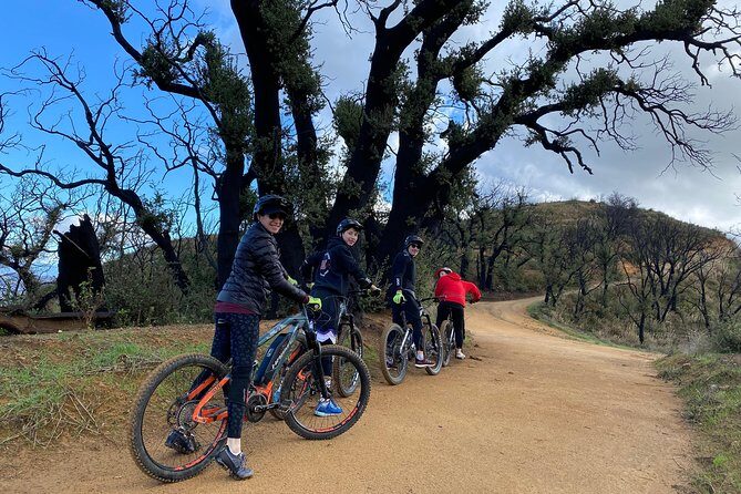 Scenic Malibu Overlook Electric Bike Tour for Beginners - The Authentic Experience: What Travelers Say