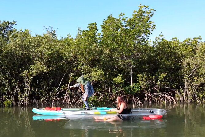 Scenic Mangrove Tunnel Paddle Tour  New Smyrna Beach - Who Will Love This Tour?