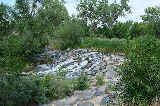 Scenic Ride Along the Cherry Creek Trail - By ebike or bike - Why This Tour Delivers Real Value