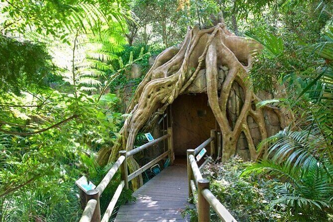 Scenic Rim Explorer - A Full Breakdown of the Tour Experience