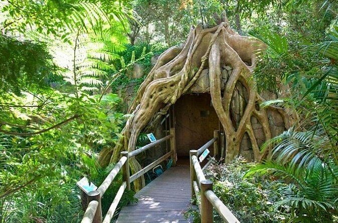 Scenic Rim Explorer - Who Will Love This Tour?