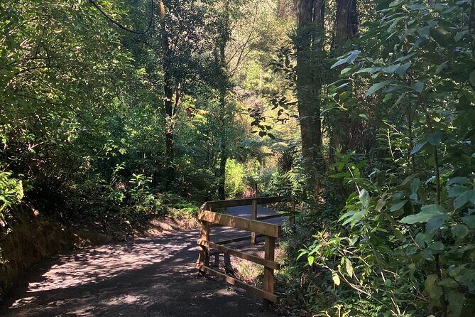 Scenic Short Hike Tour - Papamoa Hills and McLaren Falls - Who This Tour Is Best For