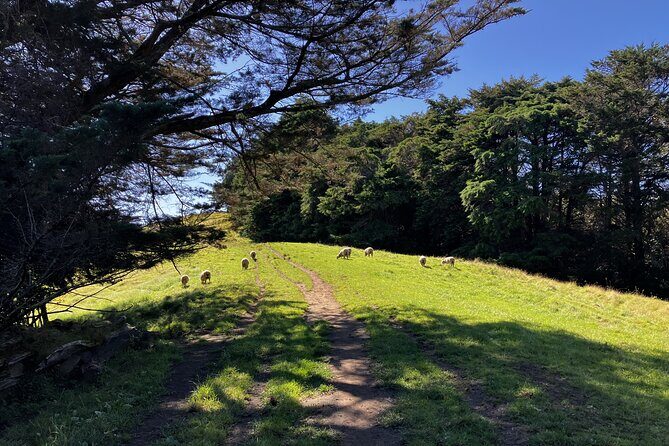 Scenic Short Hike Tour - Papamoa Hills and McLaren Falls - Final Thoughts