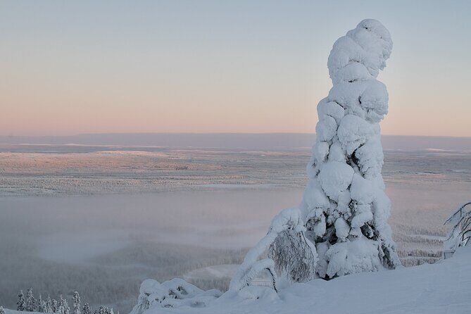 Scenic Snowshoeing on the Top of Pyhä Fell - Pricing and Value Analysis