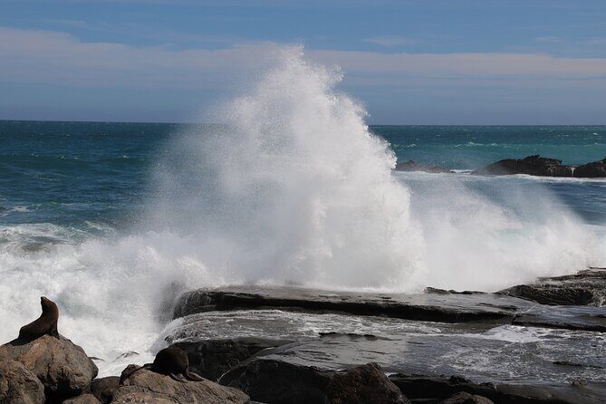 Scenic South Wairarapa Full Day Tour from Wellington - Discover the Scenic South Wairarapa Full Day Tour from Wellington