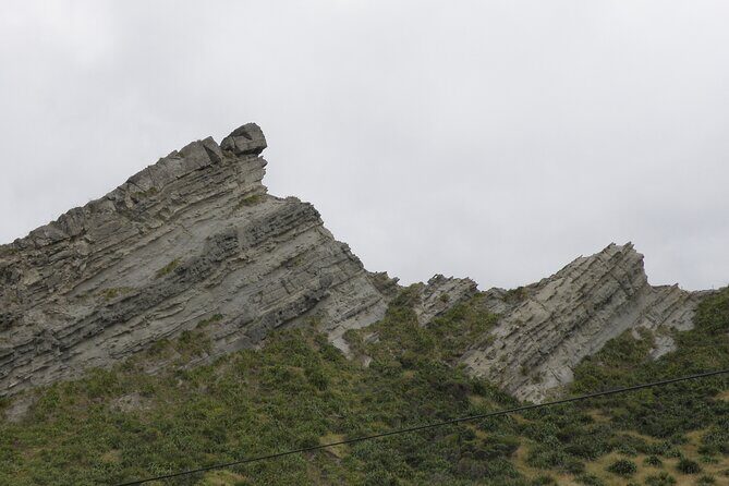 Scenic South Wairarapa Full Day Tour from Wellington - An In-Depth Look at the Scenic South Wairarapa Tour