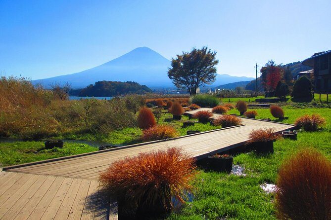 Scenic Spots of Mt Fuji and Lake Kawaguchi 1 Day Bus Tour - Who Should Consider This Tour?
