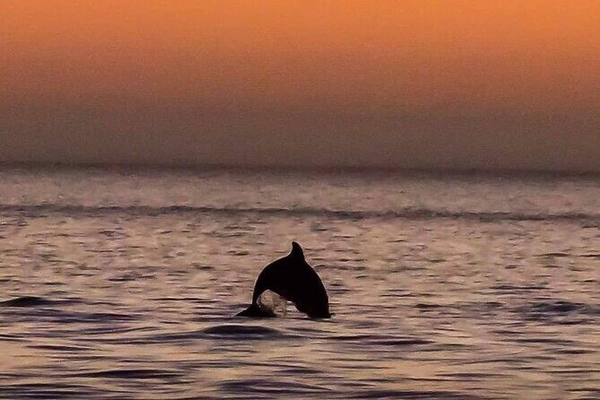 Scenic Sunset Cruise from Historic Johns Pass, Free Beer and Wine - Key Points