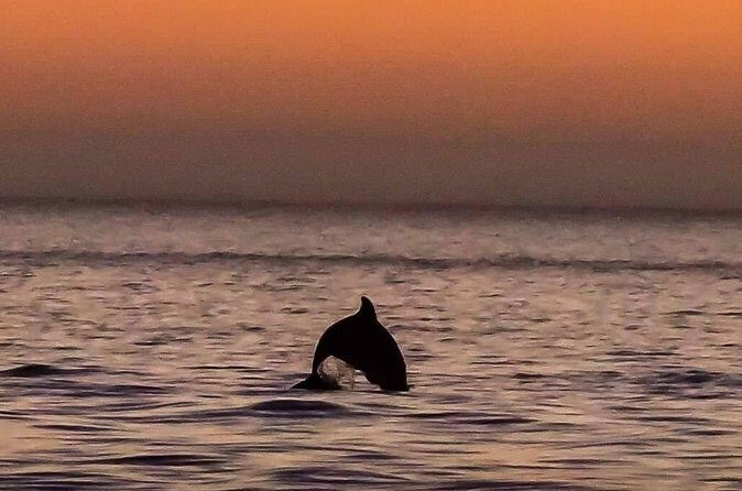 Scenic Sunset Cruise from Historic Johns Pass, Free Beer and Wine - FAQ