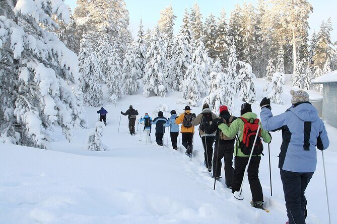 Scenic Sunset Snowshoe Tour - Key Points