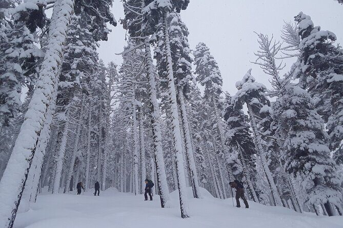 Scenic Sunset Snowshoe Tour - FAQs