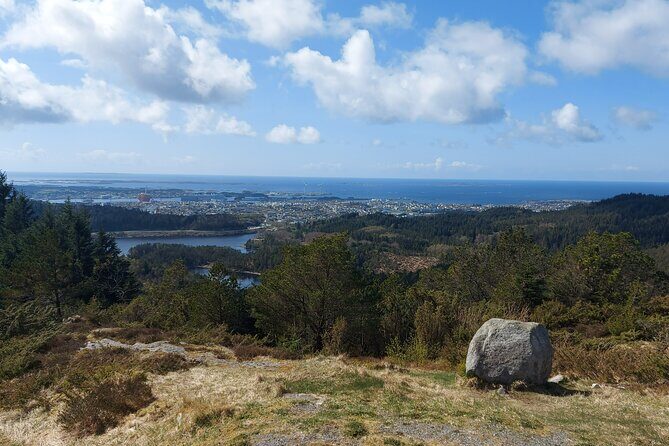 Scenic tour to Steinsfjellet, locals at Kringsjå & Rising Tide - The Sum Up