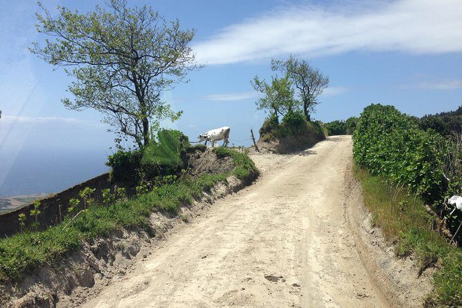 Scenic Trails of Sete Cidades: Half-Day Jeep Adventure - Frequently Asked Questions