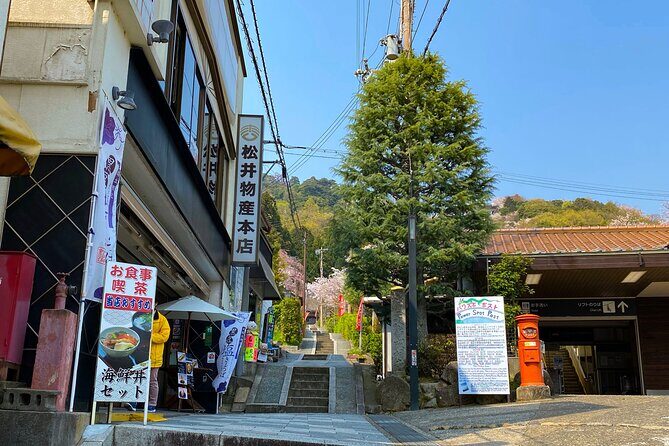 Scenic View of Amanohashidate and Ine Village from Osaka - Final Thoughts: Who Will Love This Tour?