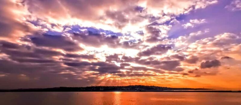 Scenic Wildlife Boat Cruise & Wine with a local Artist - Key Points