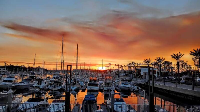 Scenic Wildlife Boat Cruise & Wine with a local Artist - Final Thoughts