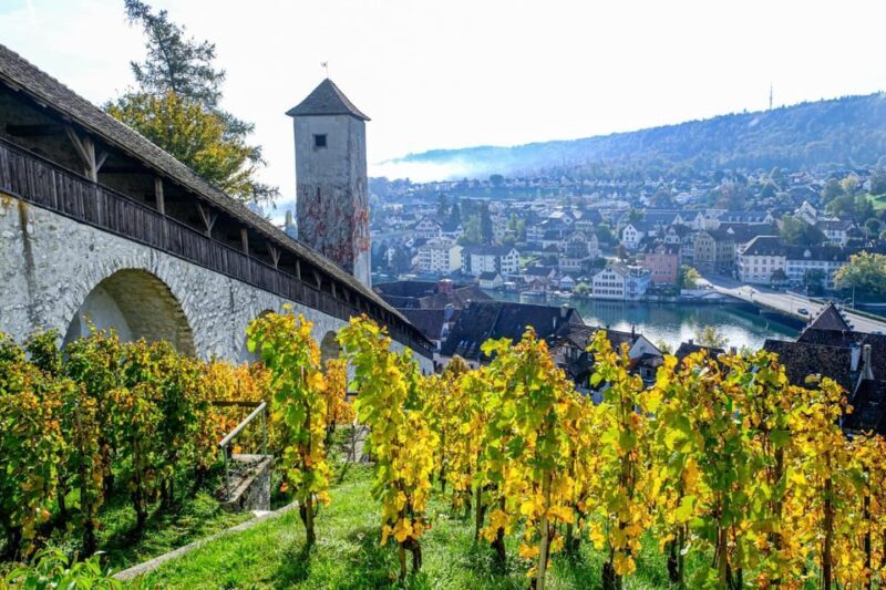 Schaffhausen: Express Walk with a Local in 60 minutes - A Deep Dive into the 60-Minute Experience