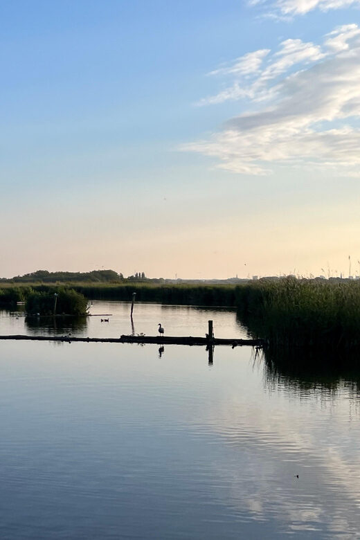 Schipluiden: Private Boat Tour to Rotterdam - Key Points