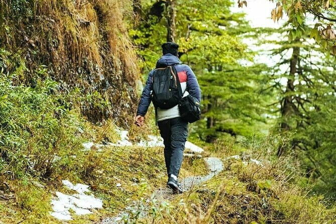 School Boy Walk - FAQ