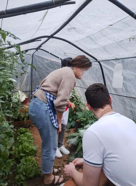 Sciacca: Traditional Pasta Class With Wine Included - What Reviewers Absolutely Loved