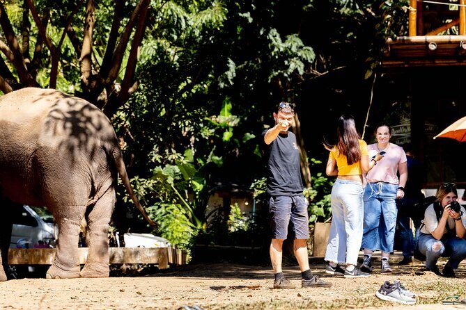 Scooter Adventure with elephants, views and FUN drive yourself - What You’ll Experience on the Tour