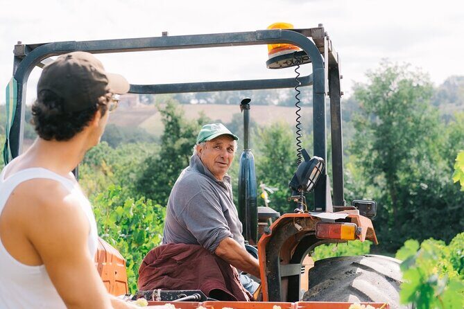Scoprire la Vera Tintilia del Molise, Autentico ed Eccellenso - FAQ