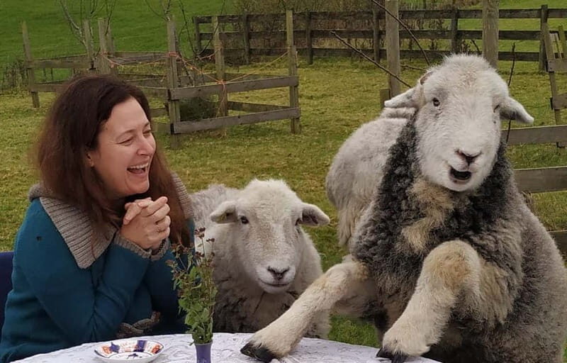 Scotland: Relaxation Retreat with Naughty Sheep - What’s Included and What’s Not