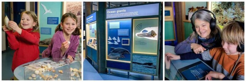 Scottish Seabird Centre: Discovery Experience Entry Ticket - Key Points