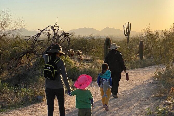 Scottsdale Desert Classic Guided Hiking Adventure - Who Should Consider This Tour?