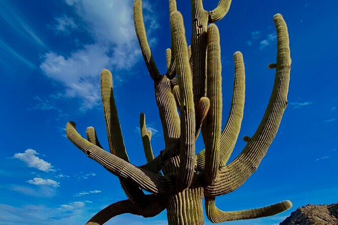 Scottsdale Desert Classic Guided Hiking Adventure - The Sum Up: Who Will Love This Experience?