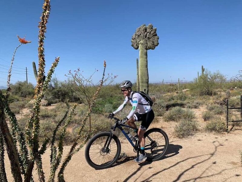 Scottsdale: Guided Mountain Bike Tour through the Desert - Key Points