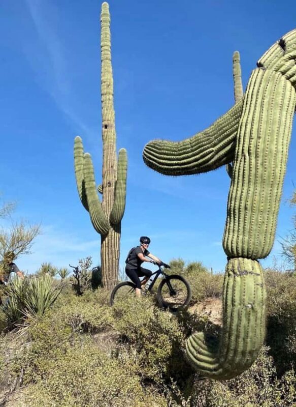 Scottsdale: Guided Mountain Bike Tour through the Desert - Analyzing the Value