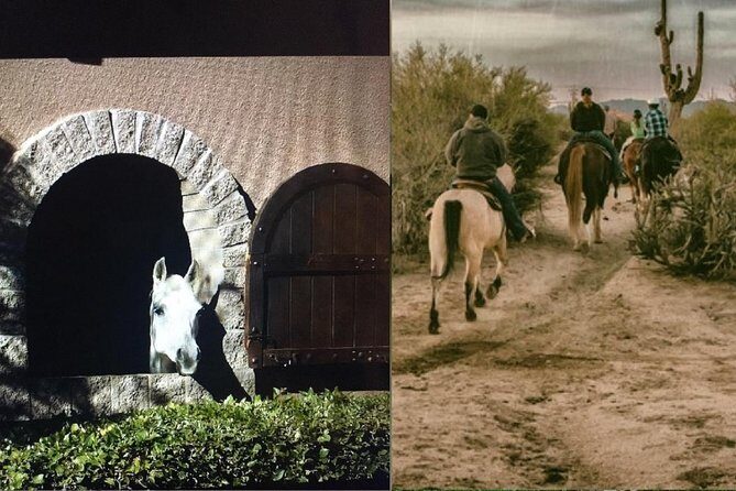 Scottsdale Horseback Riding and Horse Country Estate Tour - Key Points