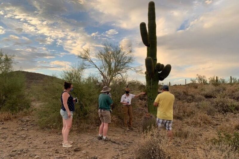 Scottsdale: McDowell Sonoran Preserve Hiking Tour - Key Points