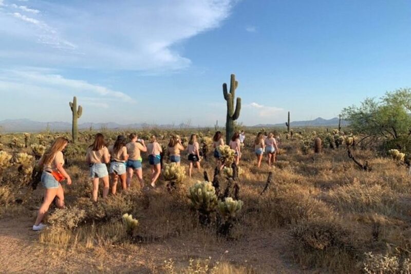 Scottsdale: McDowell Sonoran Preserve Hiking Tour - The Sum Up