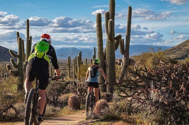 Scottsdale: Private Guided Mountain Bike Tour - Key Points