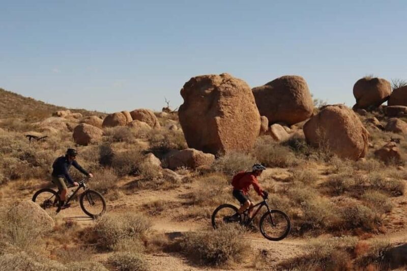 Scottsdale: Private Guided Mountain Bike Tour - An Authentic Arizona Adventure
