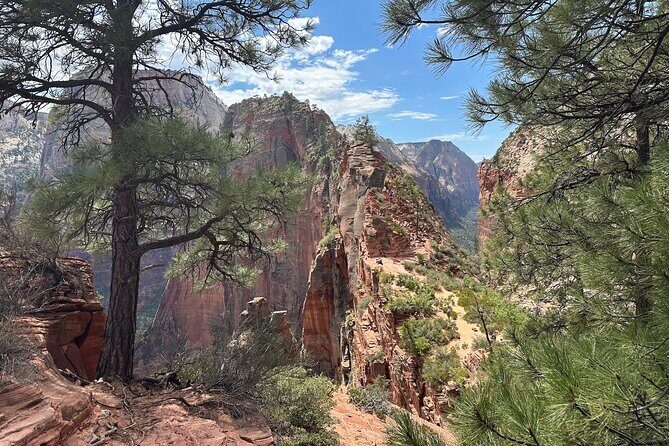 Scout Lookout: Small Group Guided Hike Zion Canyon - An In-Depth Look at Zions Scout Lookout Guided Hike
